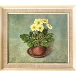 MARION LATHAM, OIL ON PAPER, 'POLYANTHUS', APPROX 24 x 28cm