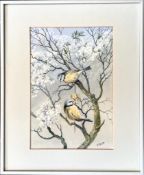 F CHILCOTT, WATERCOLOUR, BLUE TITS ON SPRING BLOSSOMS, APPROX 28 x 19cm