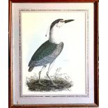 POLYCHROME PRINT/LITHOGRAPH, NIGHT HERON, APPROX 52 x 40cm