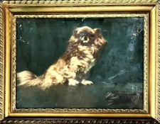 ATTRIBUTED TO WILLIAM SHACKLETON, GILT FRAMED OIL ON BOARD PORTRAIT OF A PEKINGESE DOG