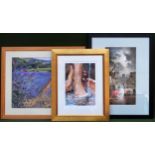 Pencil signed Limited Edition framed print, plus two other framed prints