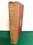 HAMILTON, JAMES, WANDERINGS IN NORTH AFRICA, 1856, ILLUSTRATIONS THROUGHOUT