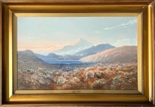 THOMAS FINCHETT, OIL ON CANVAS, MODEL SIABOD, APPROX 39 x 67cm