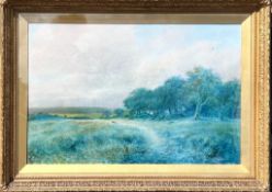 EDWARD CARTER PRESTON, OIL ON CANVAS, 'WOODLAND PATHWAY', APPROX 47 x 75cm