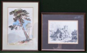 Framed monochrome print of a thatched cottage, plus a polychrome print of a tree