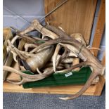A quantity of antlers and horns.