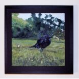 Ian Latham, "Baby Crow", oil painting on plywood panel, 2020, 25 x 25 x 2cm. Framed under glass.