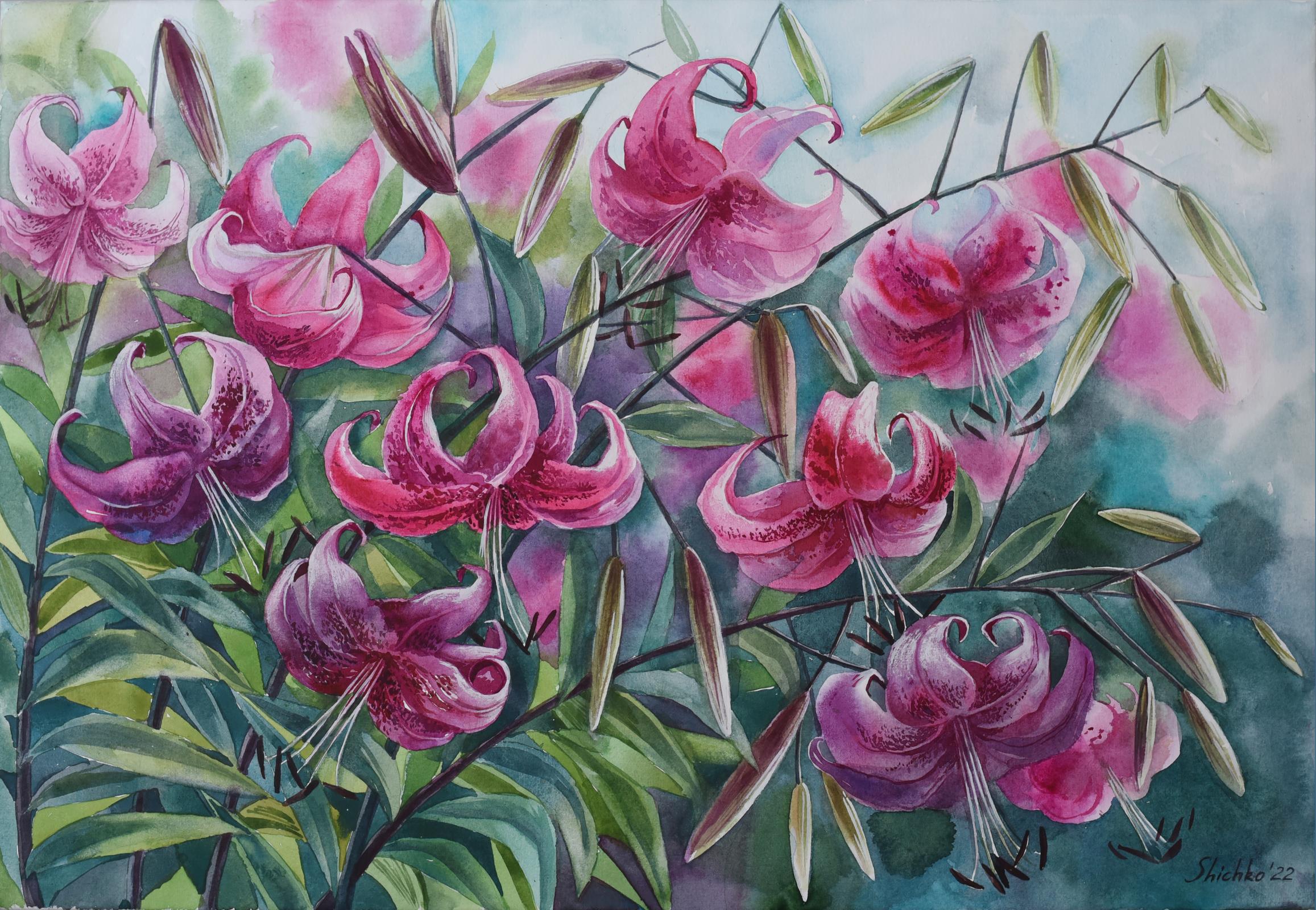 Elena Shichko, "Pink lilies", watercolour on paper, 2022, 63 x 45 x 1cm. When I start a new artwork,