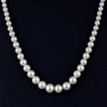 A vintage Ciro graduated pearl necklace with a 9ct gold clasp, L. 38cm.