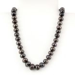 A large black cultured pearl necklace with a white metal magnetic clasp, L. 47cm.