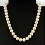 A cultured pearl necklace with a white metal magnetic clasp, pearl size 1.1cm, L. 45cm.