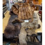 A group of vintage furs.