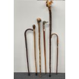 A group of mixed walking sticks.