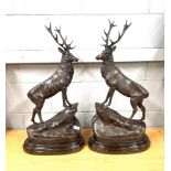 A pair of large bronze figures of stags on black marble bases, H. 74cm.