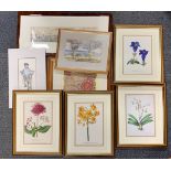 A framed watercolour, four framed floral prints and others, largest 28 x 62cm.