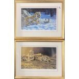 A pair of pencil signed limited edition 1153/4950 and 566/4950 prints of lions and tigers after