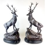 A pair of large bronze figures of stags on black marble bases, H. 74cm.