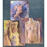 Three unframed acrylic on artist board paintings of nude subjects, two signed 'Dank', 41 x 50cm.