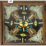 A late 19th century / early 20th century folding display case containing a butterfly collection,