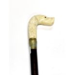 A carved dog's head bone handled walking stick.