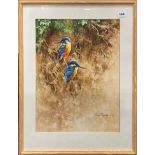 Robert Coppillie: Two framed watercolours of birds, largest 47 x 82cm.