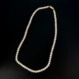 A pink cultured pearl necklace with a gilt metal clasp, L. 53cm. Pearl Dia. 4mm.