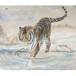 An unframed watercolour of a tiger, 63 x 51cm.