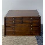 A seven drawer mahogany collector's chest, 47 x 29 x 28cm.