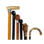 A group of mixed carved antique walking sticks, longest L. 95cm.