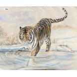An unframed watercolour of a tiger, 63 x 51cm.