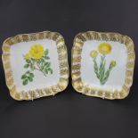 A pair of early 19th century Spode hand painted botanical dishes, 22 x 22cm.