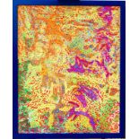Maurice Hawkins, "Coral Feast", acrylic, framed 81 x 66cm, c. 2022. A vibrant piece in rich dense