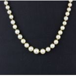 A graduated cultured pearl necklace with a 9ct white gold clasp, L. 42cm.