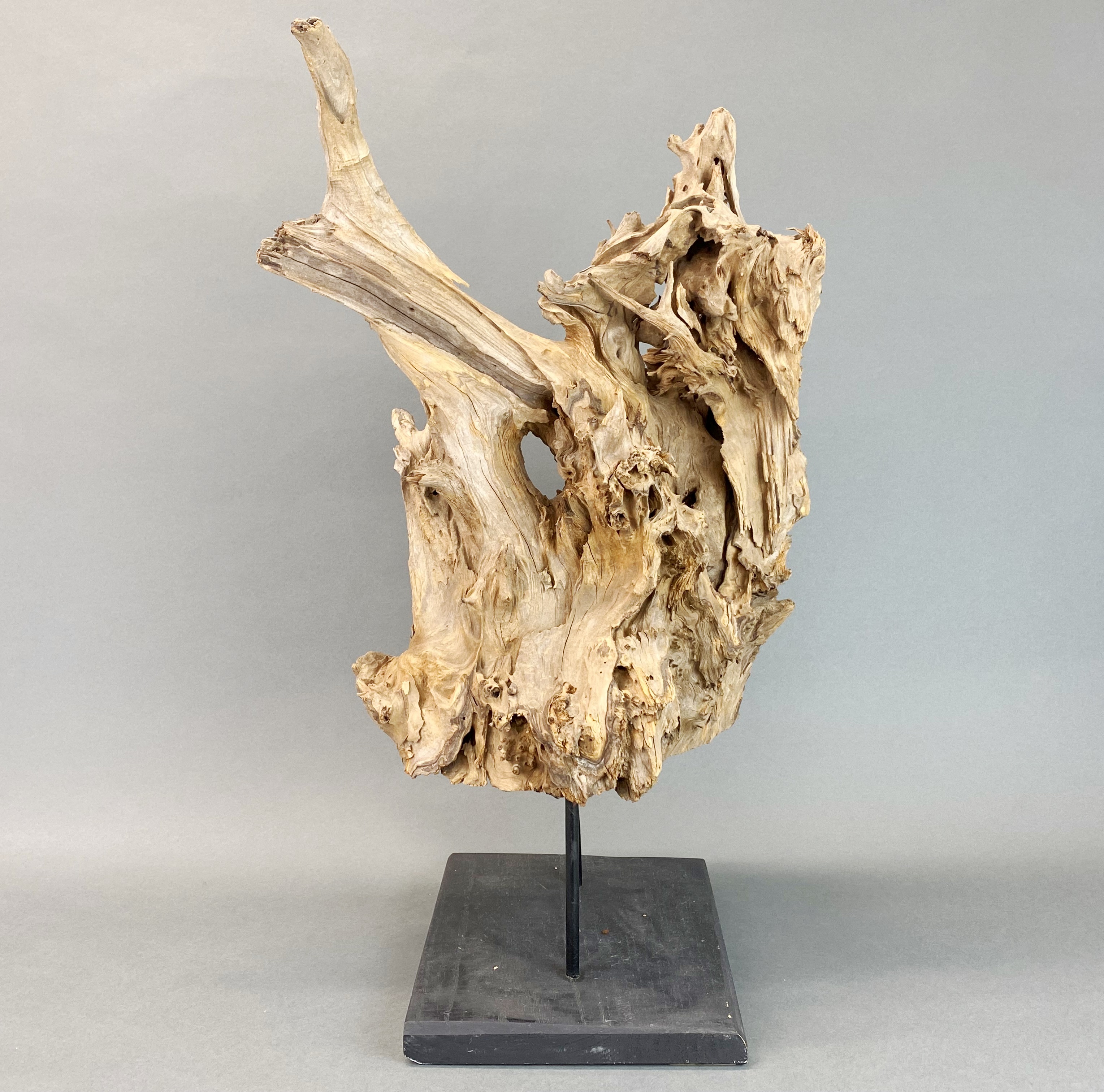 A large driftwood 'sculpture' mounted on a wooden base, H. 58cm.