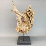 A large driftwood 'sculpture' mounted on a wooden base, H. 58cm.