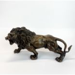 A bronze figure of a roaring lion, L. 32cm.