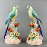 A pair of continental bird figures, H. 24 cm.