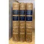 Three volumes, half leather bound of Motley's Dutch Republic by John Lothrop Motley, published 1875.