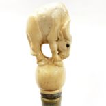 A contemporary walking stick with carved yak bone handle of a yak, L. 93cm.