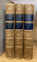 Three volumes, half leather bound of Motley's Dutch Republic by John Lothrop Motley, published 1875.
