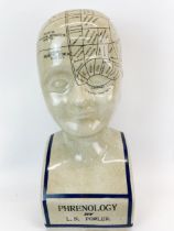 A large ceramic phrenology head, H. 39cm.