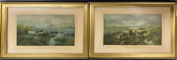 Two gilt framed island cattle prints after H.R.Hall, 58 x 80cm.