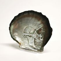 A hand carved black lip oyster mother of pearl shell with skull engraving with perspex display