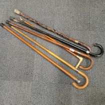 A group of six silver mounted and other walking sticks.