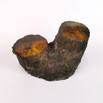 A faux amber 'tree section' with preserved insects, H.13cm, W. 19cm.