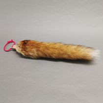 Taxidermy Red fox tail, capped with metal ferrule and with string to hang