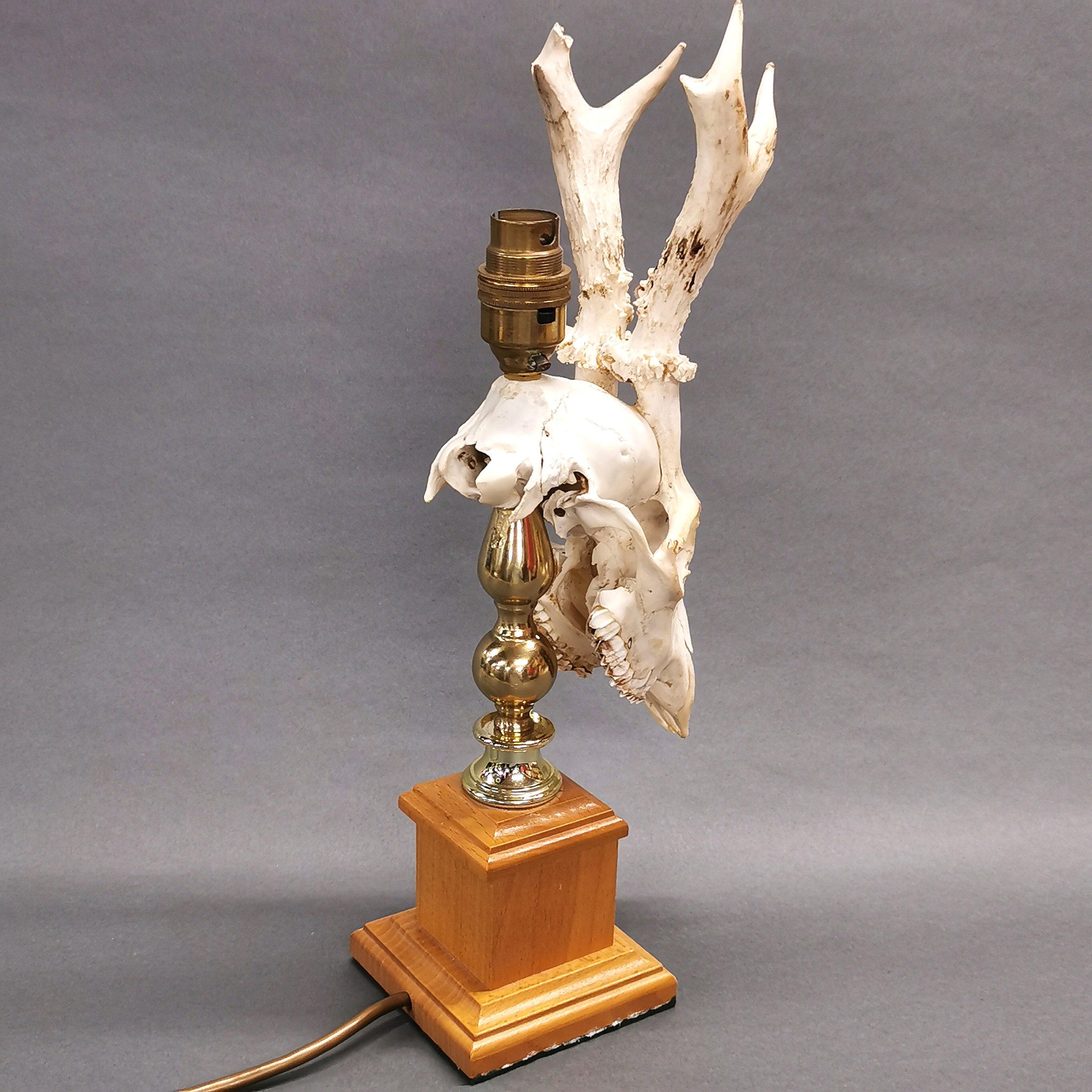 Taxidermy Roe Deer Skull Lamp, the cranium mounted to a brass and green onyx base. Wired with UK - Image 3 of 3