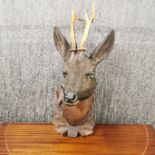 A large 19th C. Black Forest carved wooden deer head with real antlers, H. 54cm.