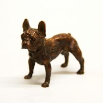 A detailed small bronze model of a French Bulldog, H. 5cm.