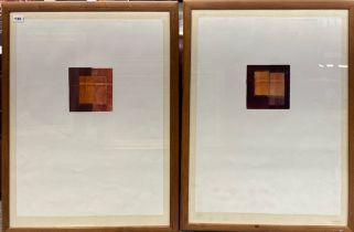 A pair of contemporary frame lithographs, frame size 61 x 79cm.